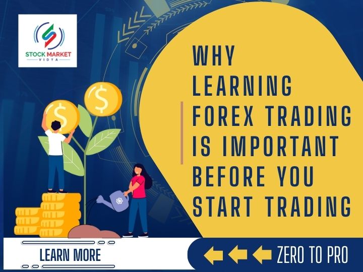 Learning Forex Trading